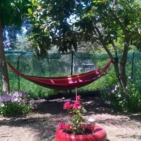 Ένα καλοκαίρι γεμάτο περιπέτεια σας περιμένει: Ανακαλύψτε το σήμερα στην ιστοσελίδα&nbsp;μας!