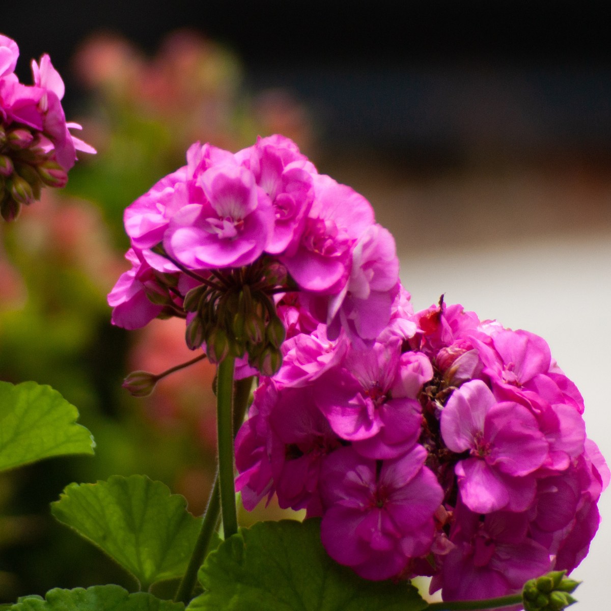 Νέες προσφορές για την καλοκαιρινή σεζόν&nbsp;2023